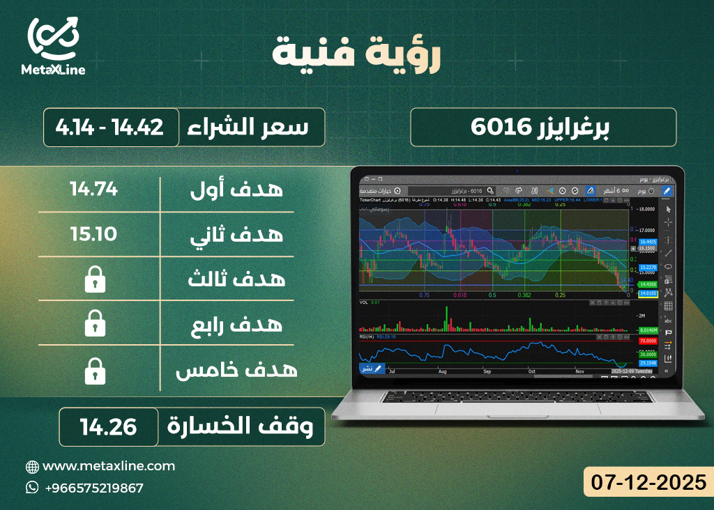سهم برغرايزر 6016