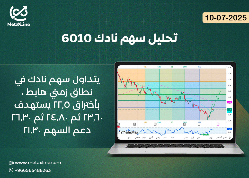 تحليل سهم نادك 6010 