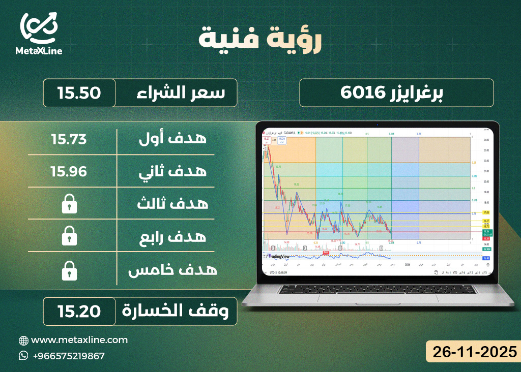 سهم برغرايزر 6016