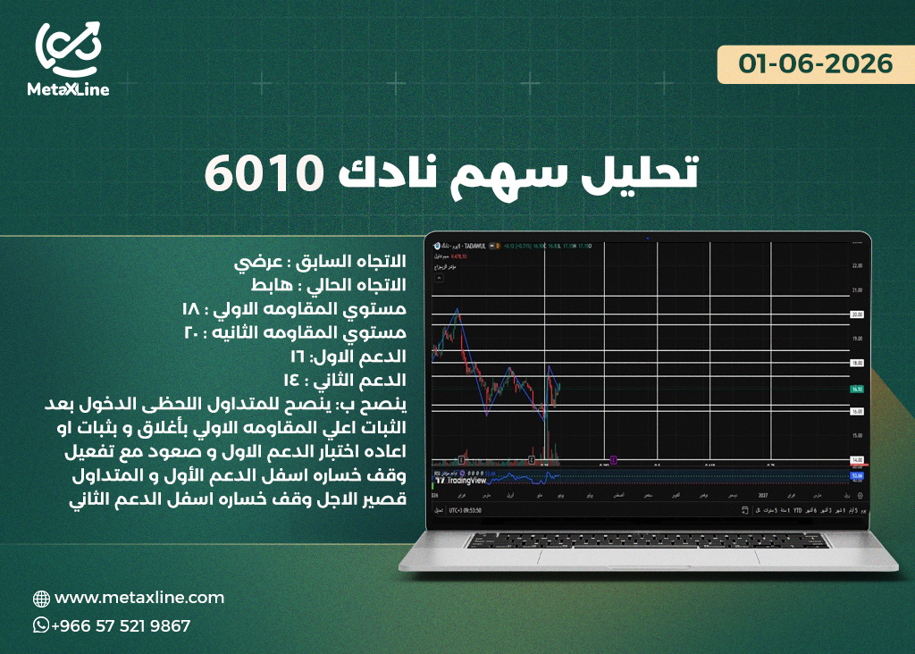 تحليل سهم نادك 6010 