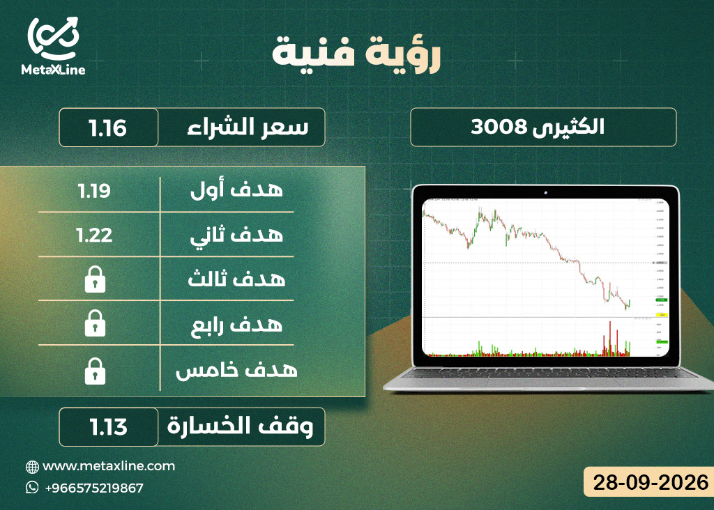 سهم الكثيرى 3008