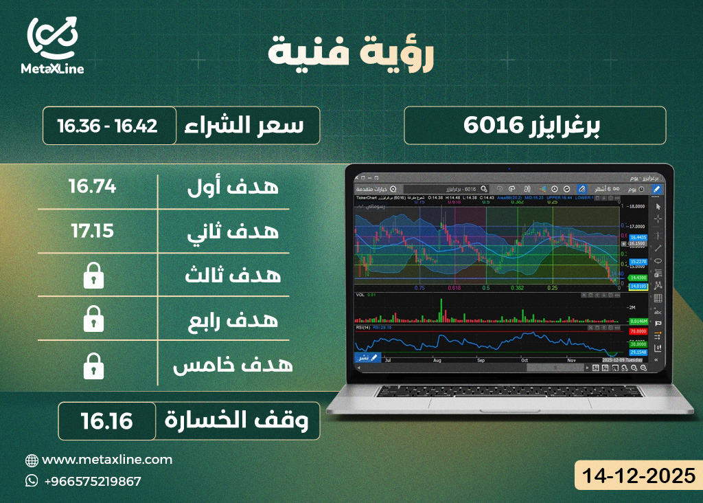 سهم برغرايزر 6016